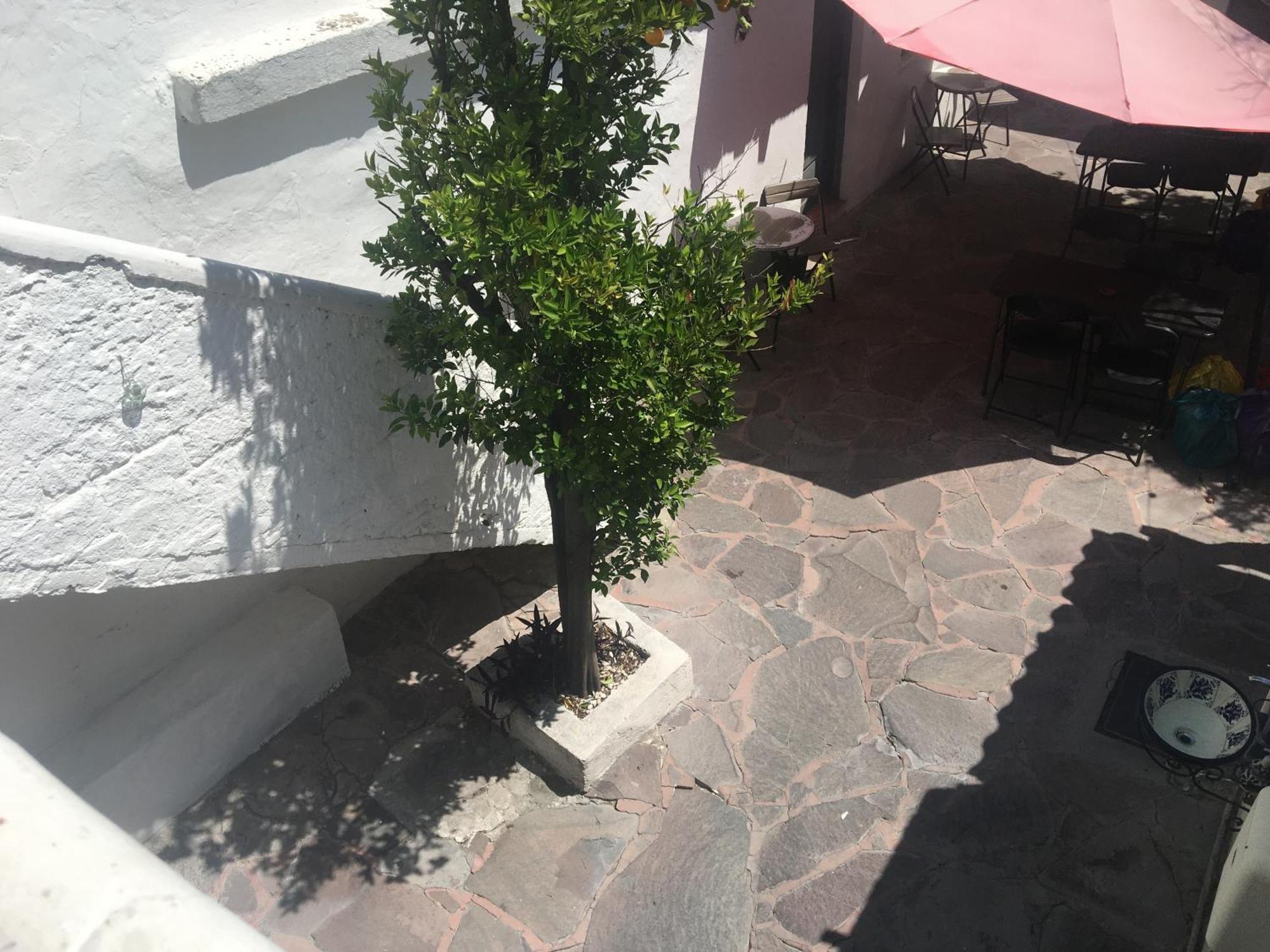 Patio Alojamiento San Miguel de Allende Exterior photo